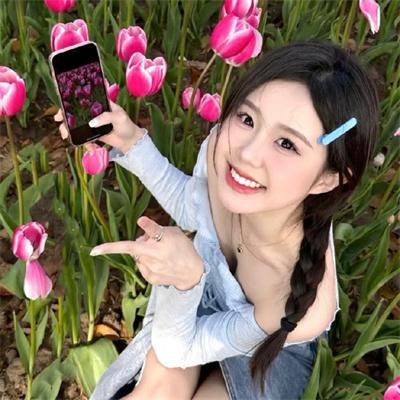 小菊的春天